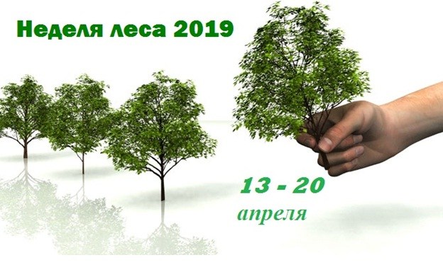 ÐÐ°ÑÑÐ¸Ð½ÐºÐ¸ Ð¿Ð¾ Ð·Ð°Ð¿ÑÐ¾ÑÑ Ð°ÐºÑÐ¸Ñ Ð½ÐµÐ´ÐµÐ»Ñ Ð»ÐµÑÐ° 2019