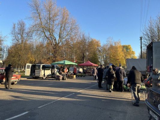 Сегодня на ярмарке в Кировске очень оживлëнно